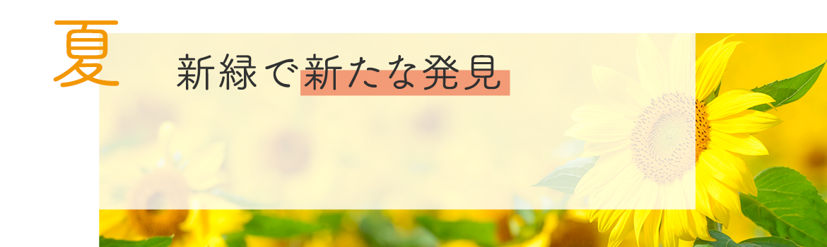 夏　新緑で新たな発見